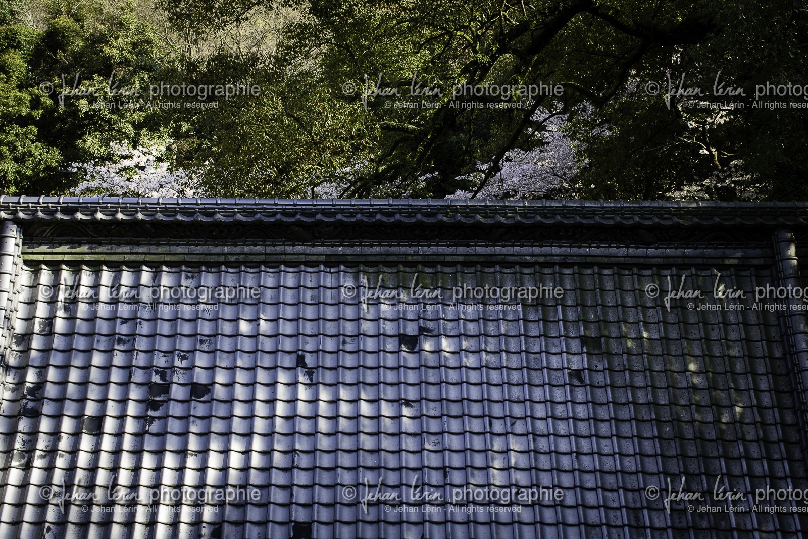 iyadaniji_temple-71_shikoku_japon_06-04_2014-4037.jpg