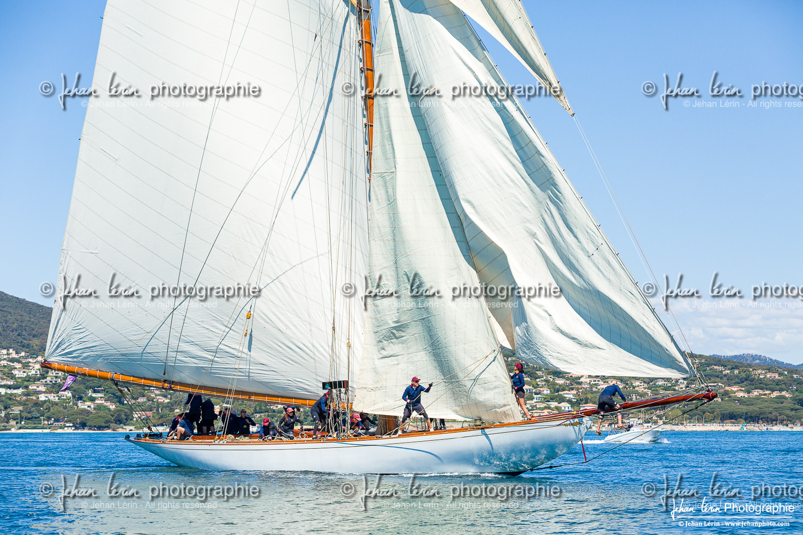 Les Dames de St Tropez 2025 Les Dames de St Tropez 2025