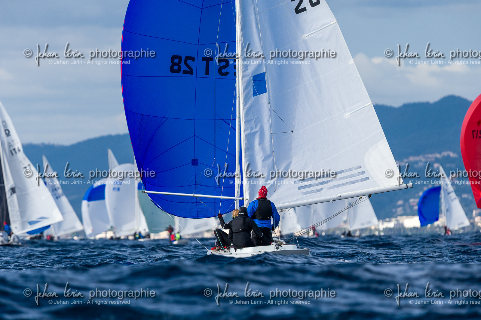 Armistice Cup Dragon 2022