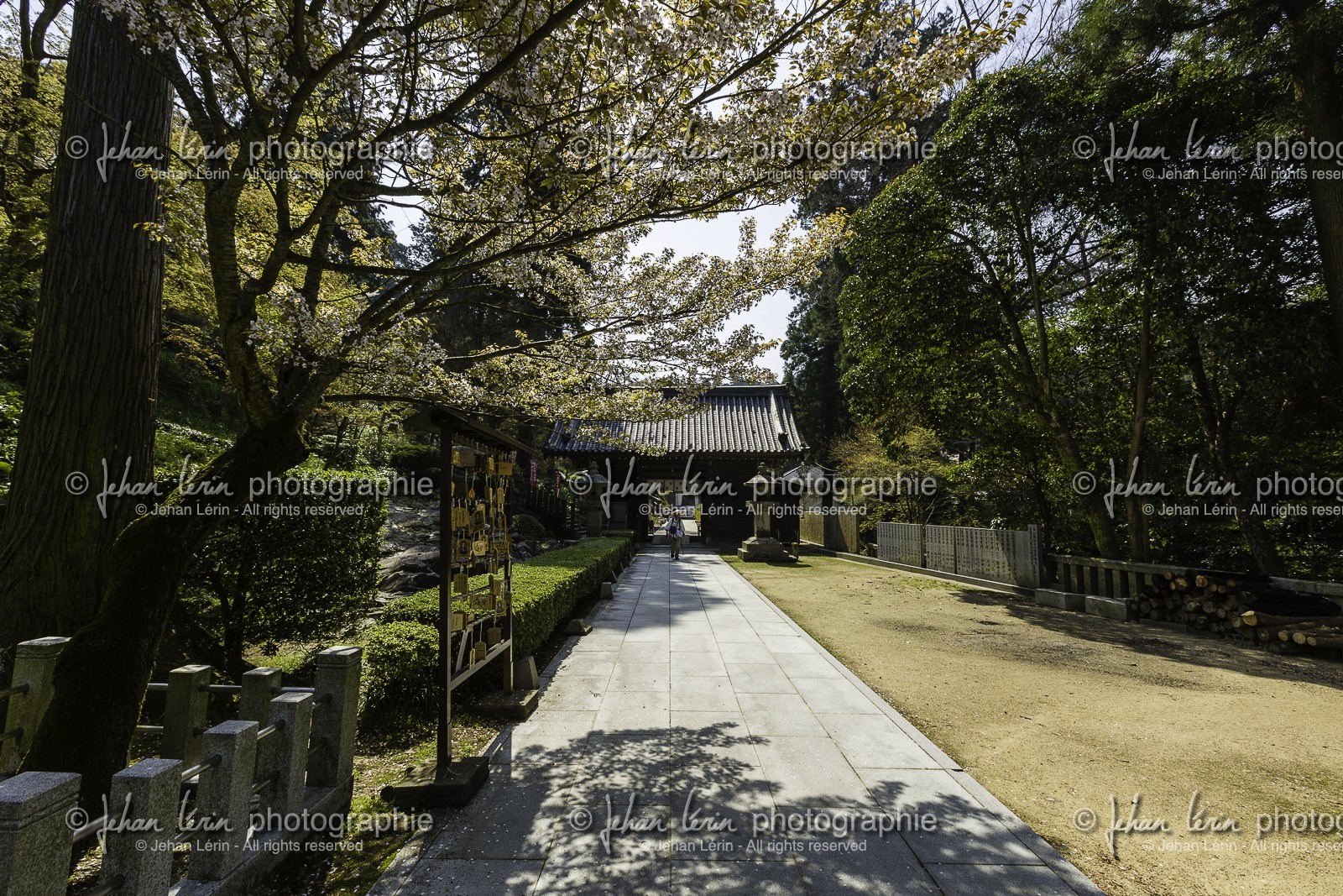 shiromineji_temple-81_shikoku_japon_09-04_2014-1060.jpg