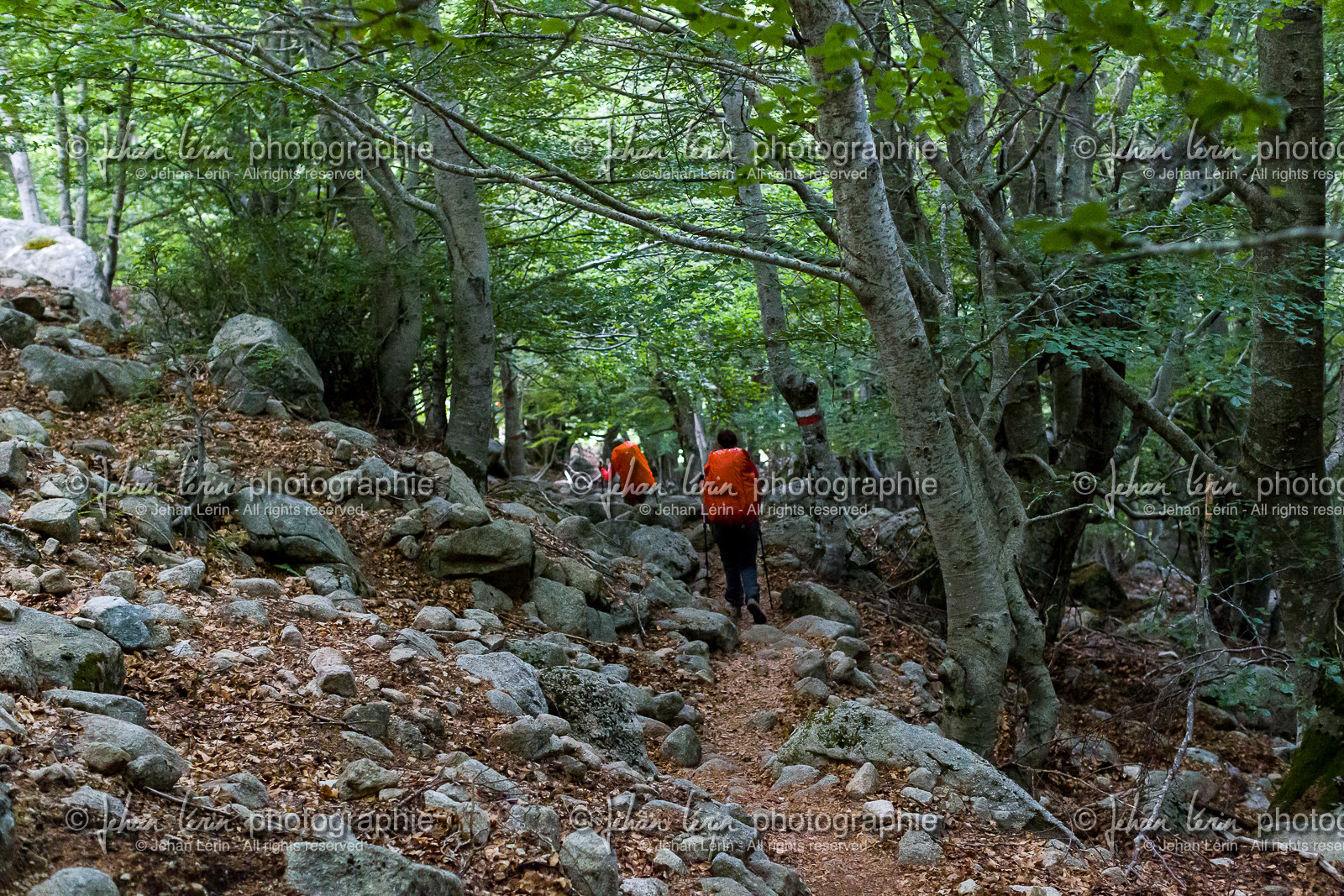 gr20_corse_jl_1dx_23-07-2016-0741.jpg