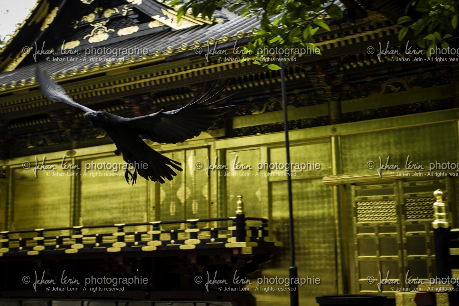 ueno_tokyo_japon_jl_1dx_05-05-2014-6272.jpg