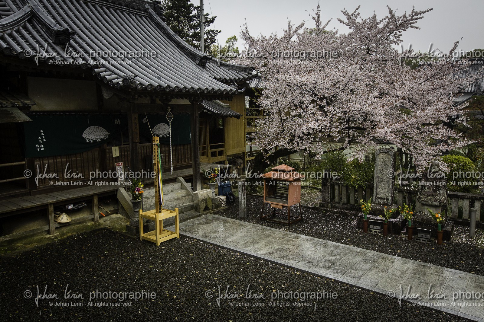 daikoji_temple-67_shikoku_japon_05-04_2014-0989.jpg