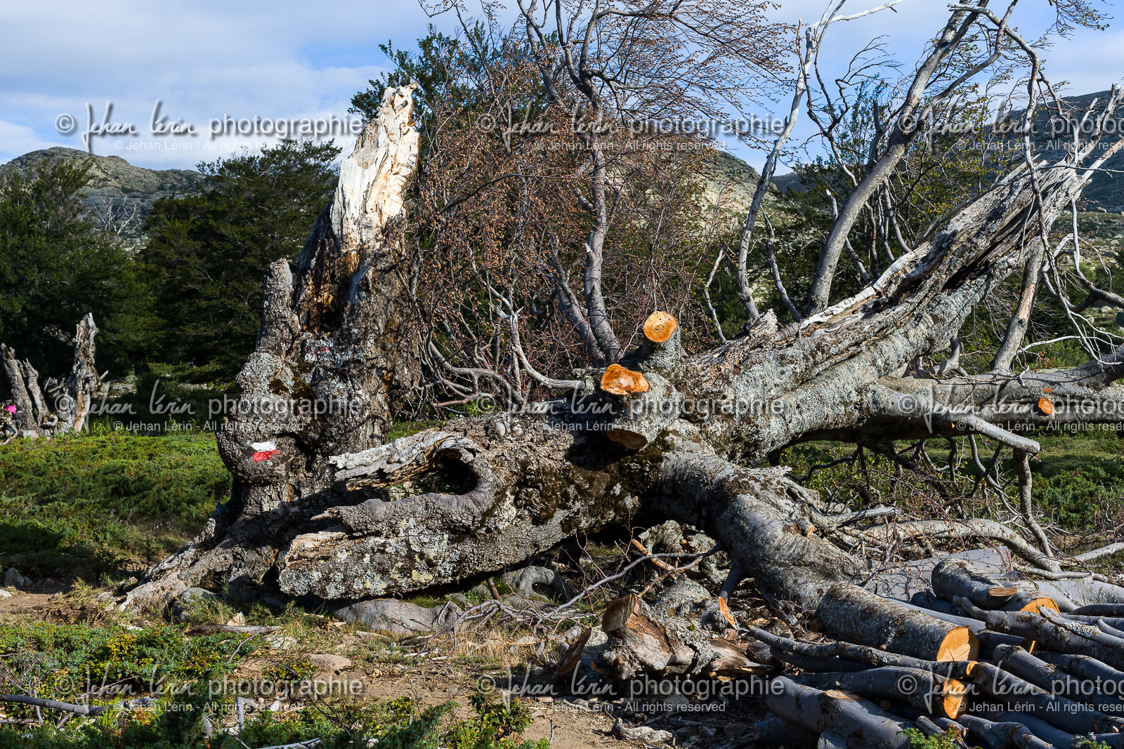 gr20_corse_jl_1dx_25-07-2016-0903.jpg