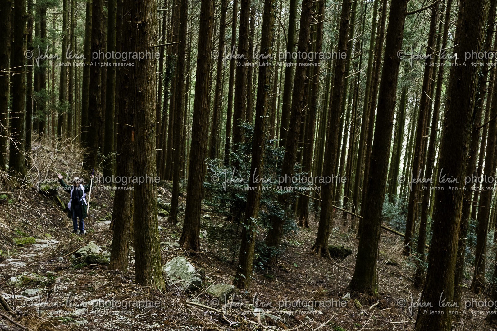 en-route-vers-le-temple-12_shikoku_japon_07-03_2014-1979.jpg