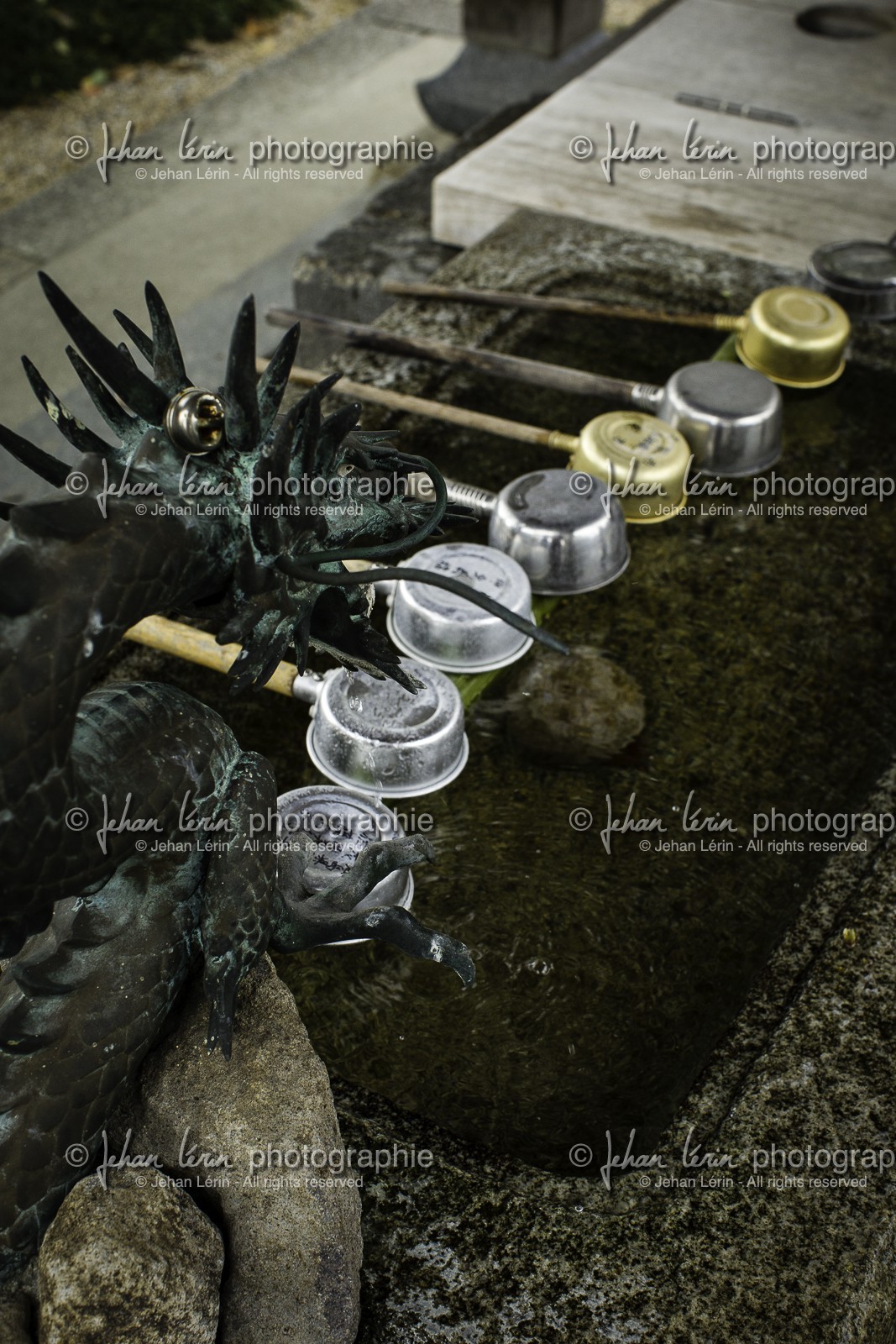 motoyamaji_temple-70_shikoku_japon_06-04_2014-3982.jpg