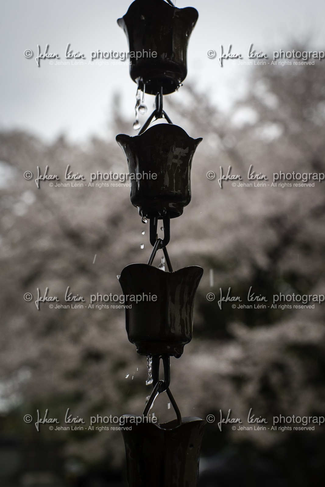 daikoji_temple-67_shikoku_japon_05-04_2014-3916.jpg
