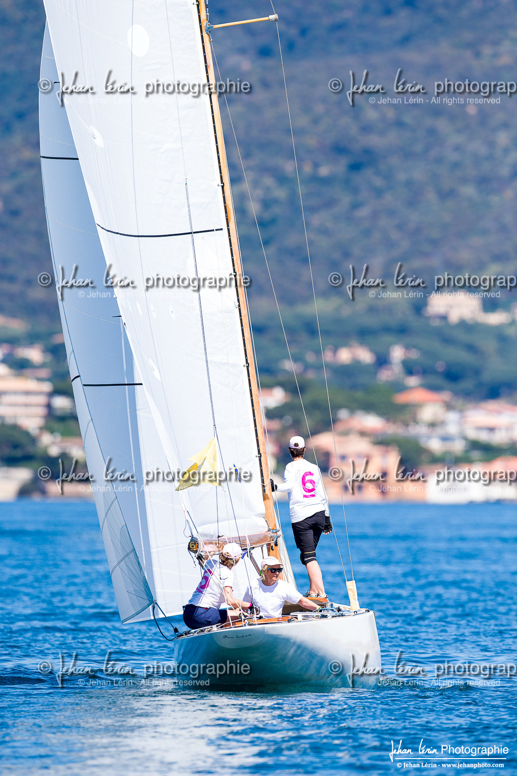 Les Dames de St Tropez 2025 Les Dames de St Tropez 2025