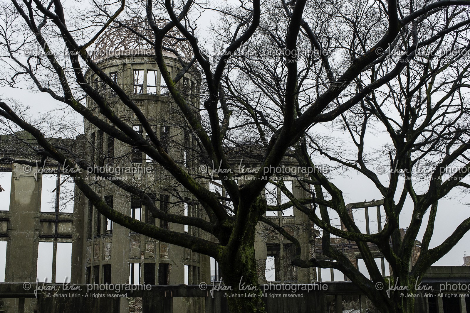 hiroshima_japon_26-03_2014-3158.jpg
