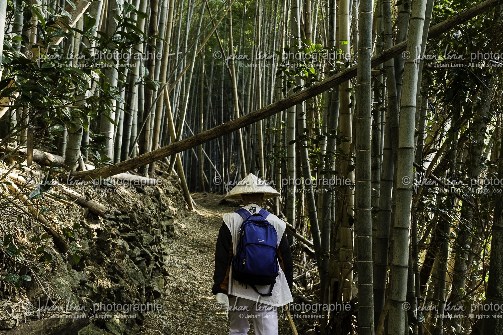en-route-vers_temple-19_shikoku_japon_09-03_2014-2187.jpg