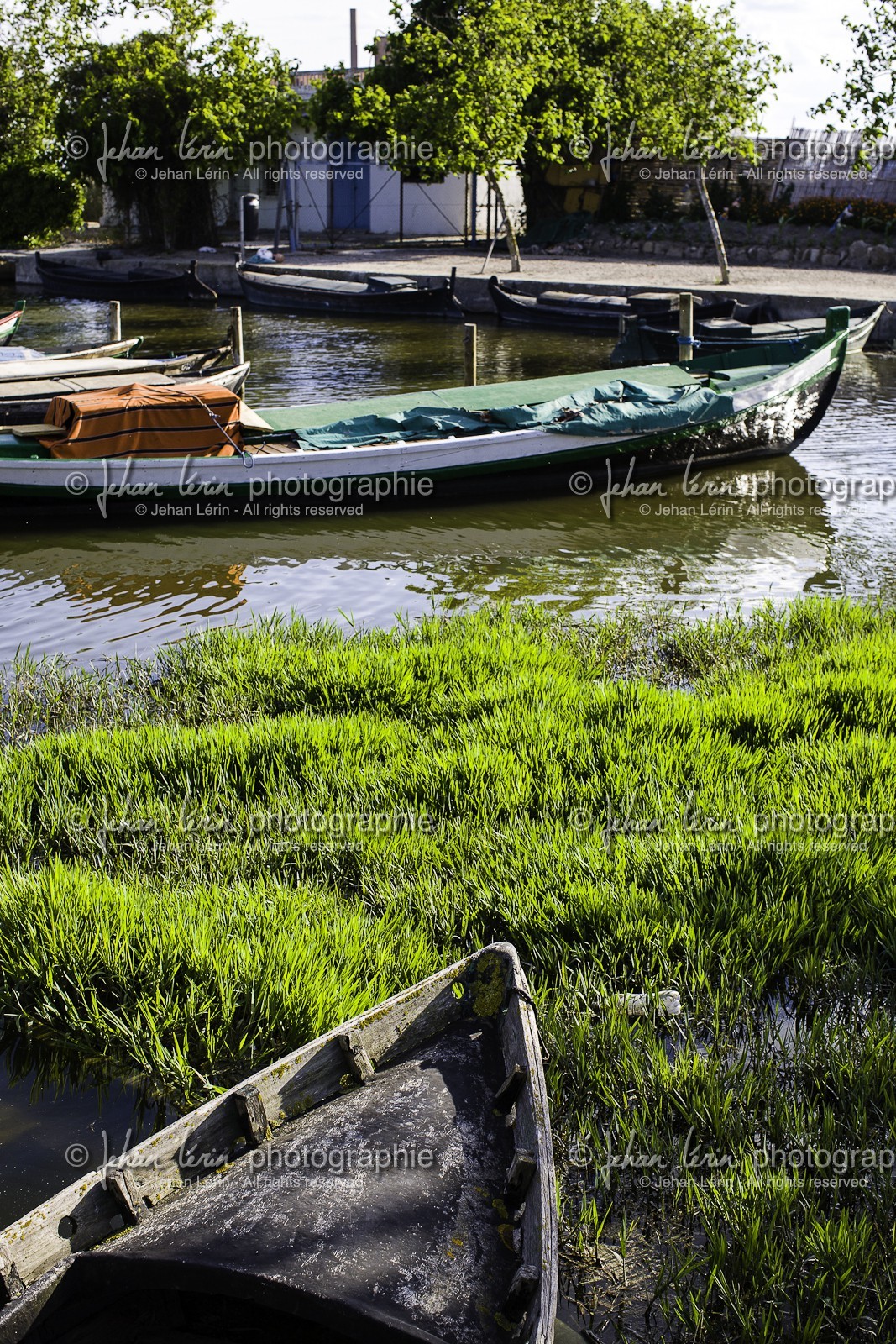 puerto-el-saler_el-saler_comunidad-de-valencia_08-05-2012-0011.jpg