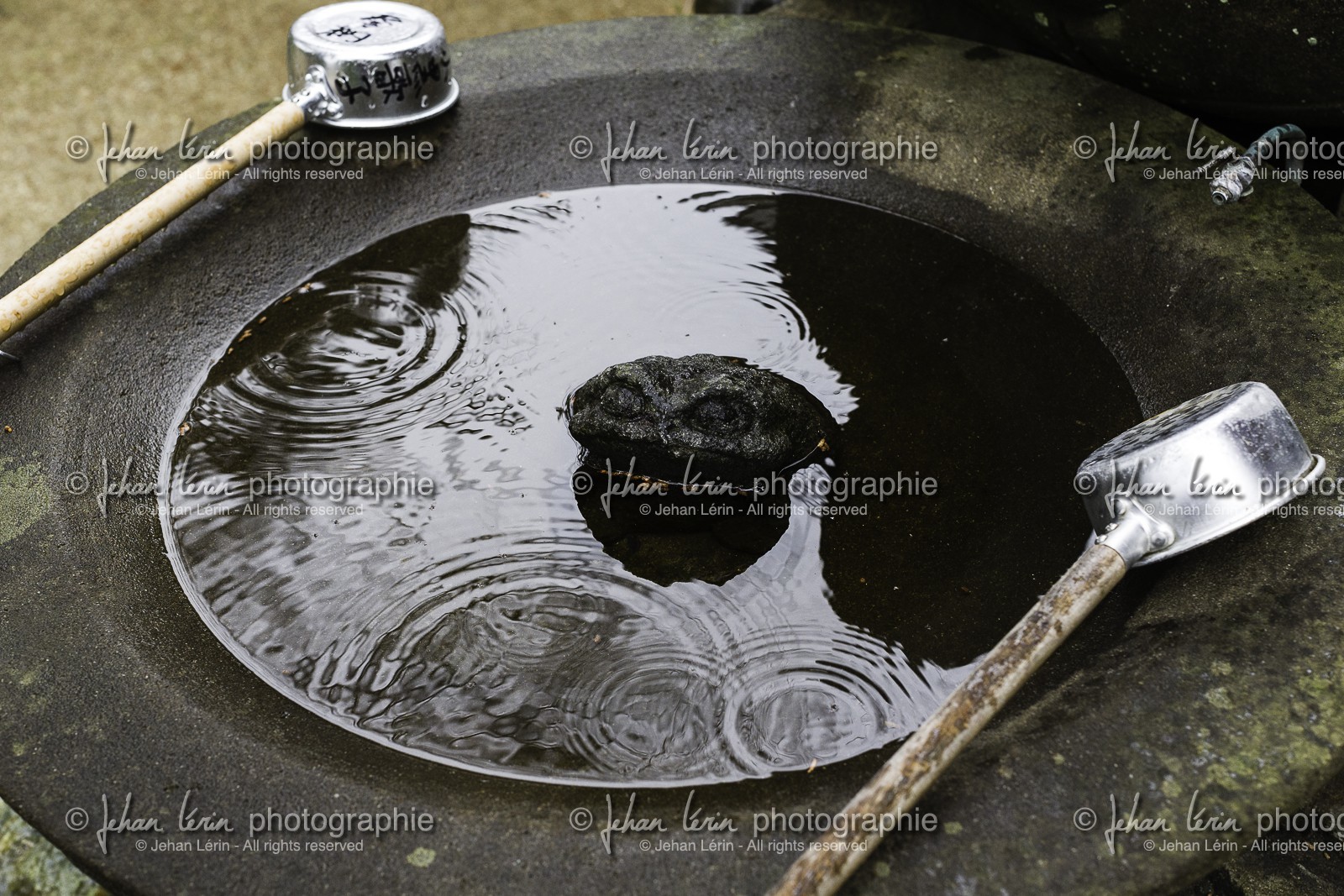 joruriji_temple-46_shikoku_japon_29-03_2014-3337.jpg