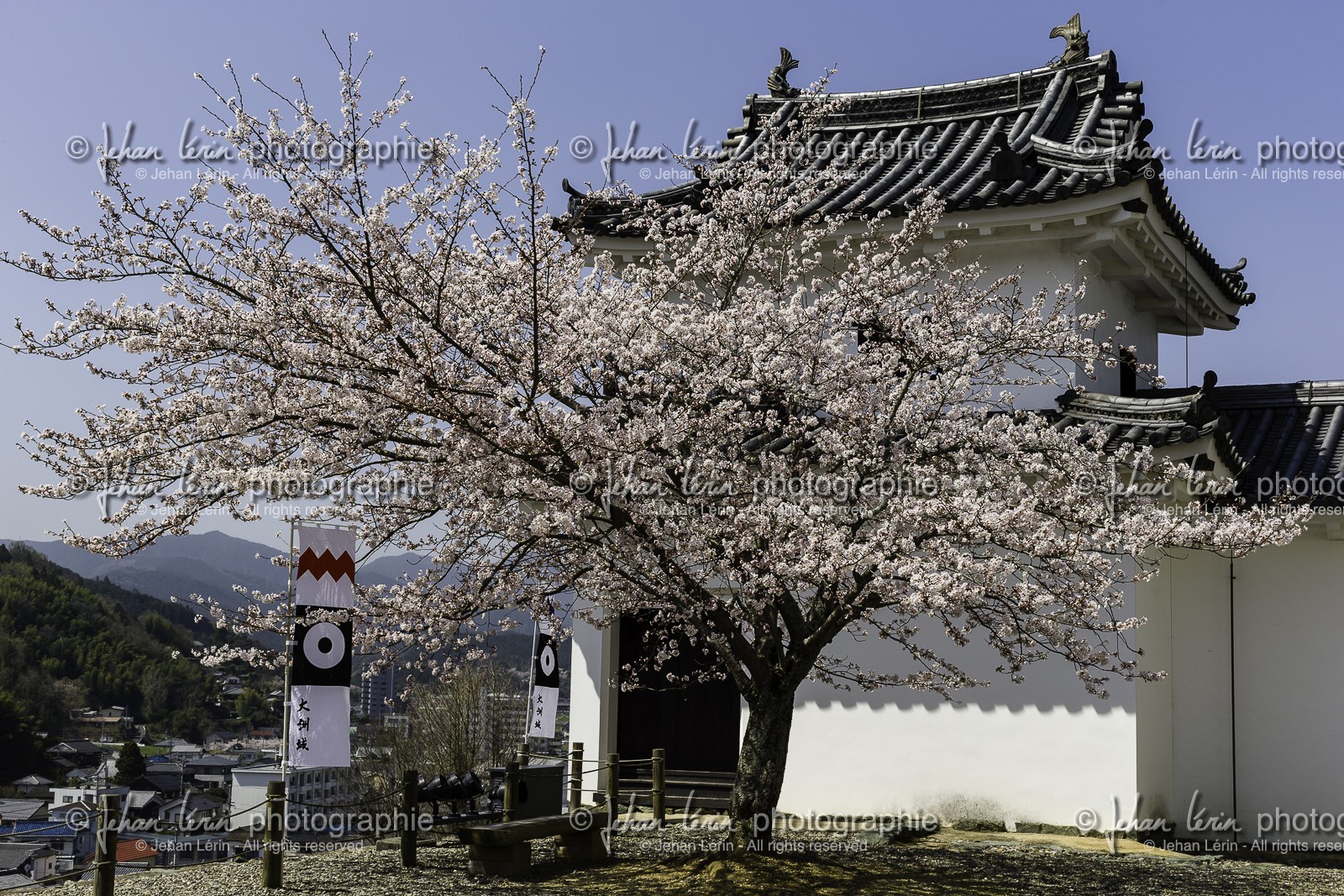 ozu_shikoku_japon_28-03_2014-3289.jpg