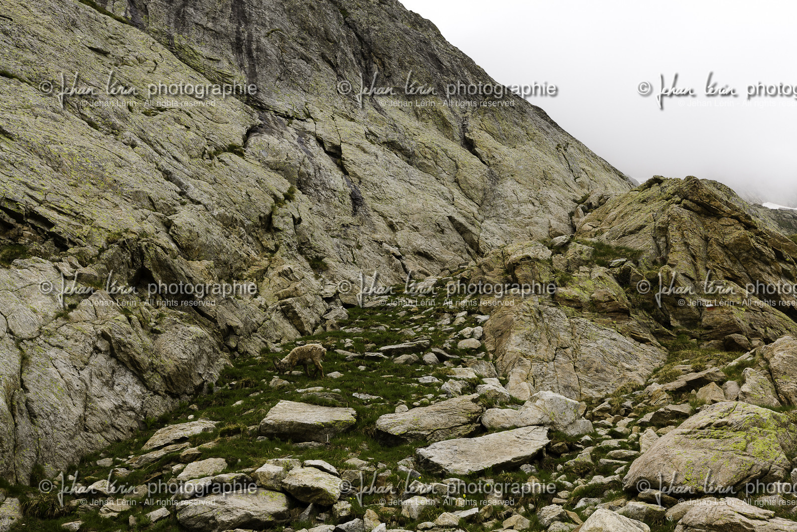mercantour_france_vallee-des-merveilles_21-06-2012-5840.jpg