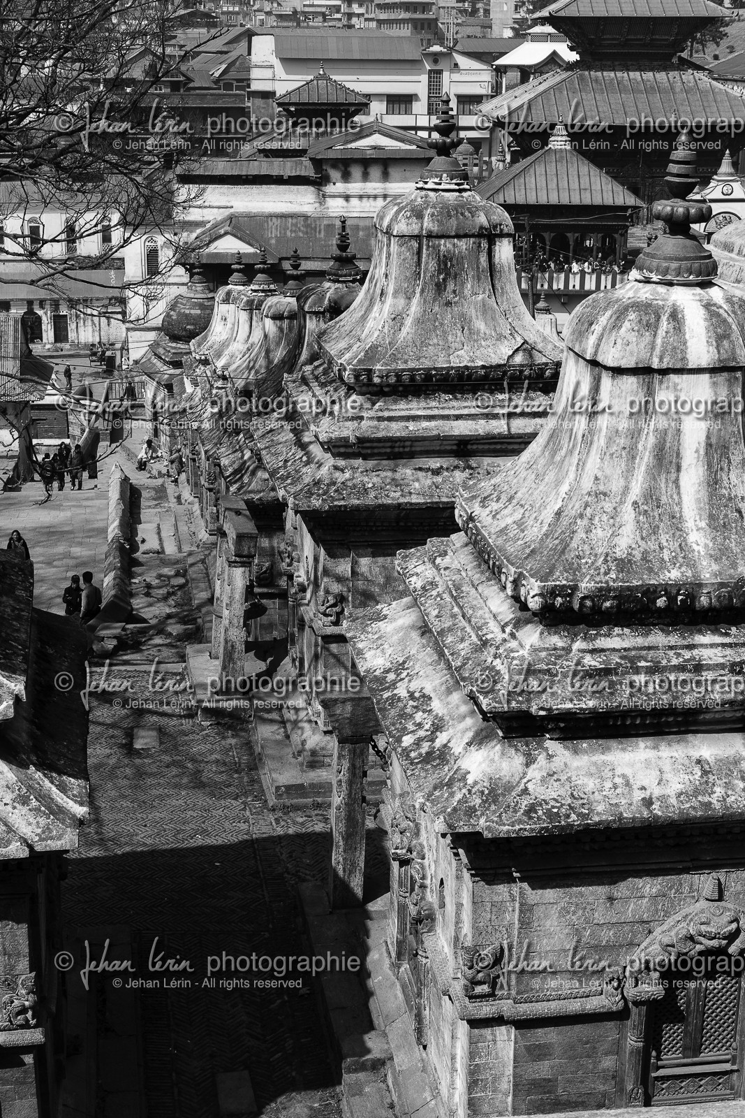 nepal_kathmandu_pashupatinath_10-02-2013-36317.jpg