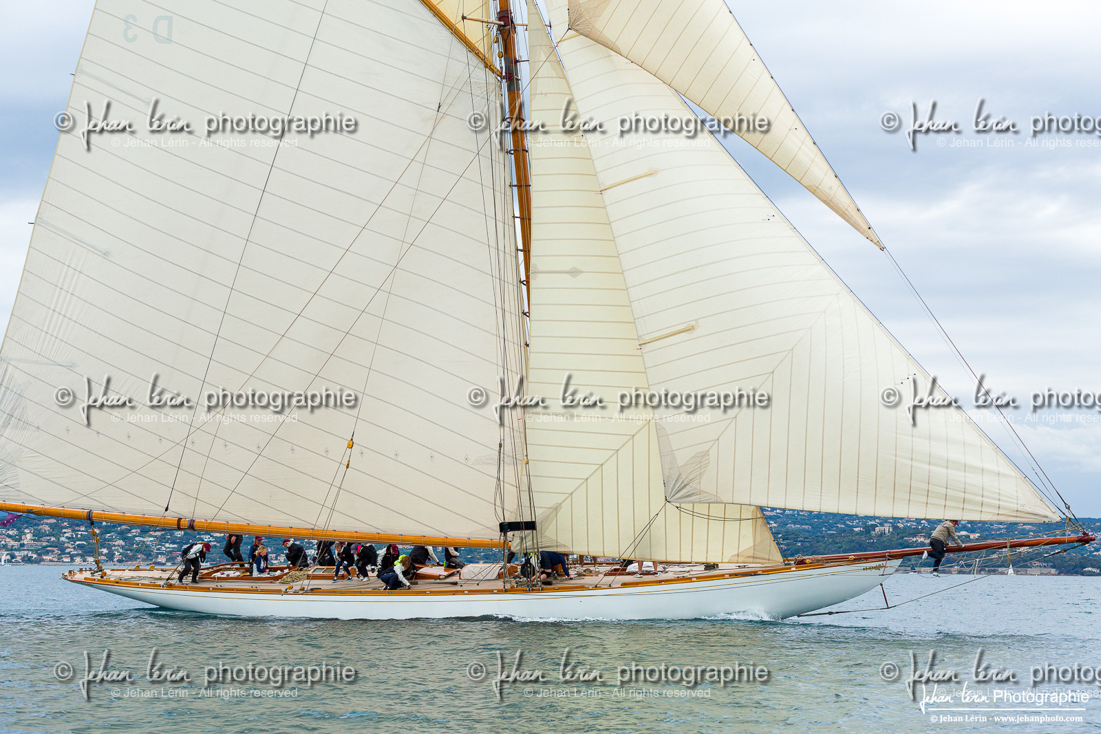 Les Dames de St Tropez
