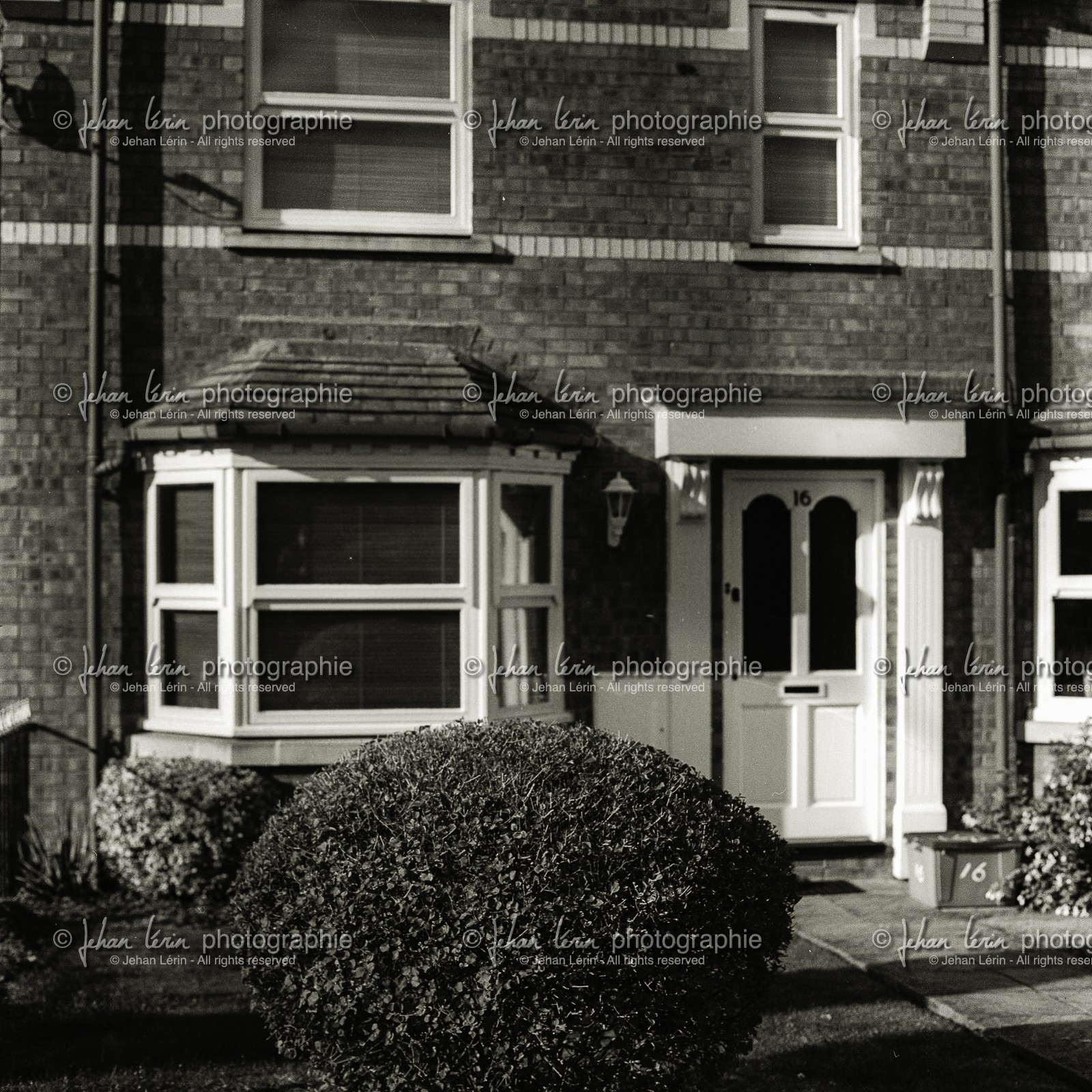 private-shrub_leamington-spa_uk-october-2012_4.jpg