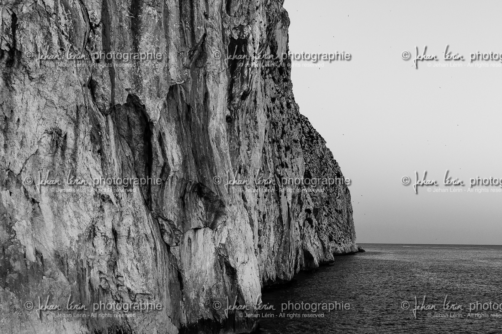 caple_penon-d-ifac_08-12-2012-35376-2.jpg