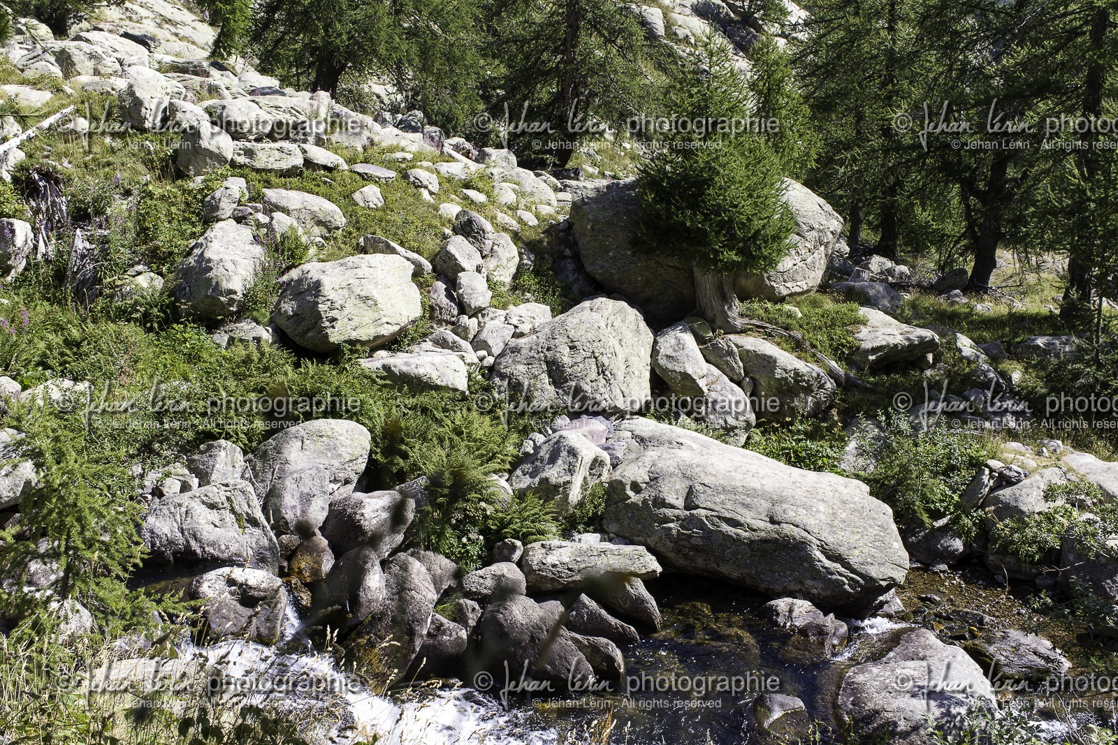 la-vallee-des-merveilles_08-08-2015-9195.jpg