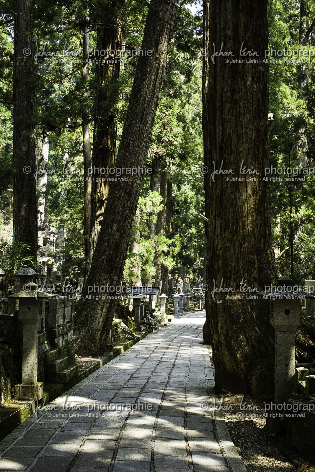 koyasan_japon_jl_1dx_17-04-2014-5250.jpg