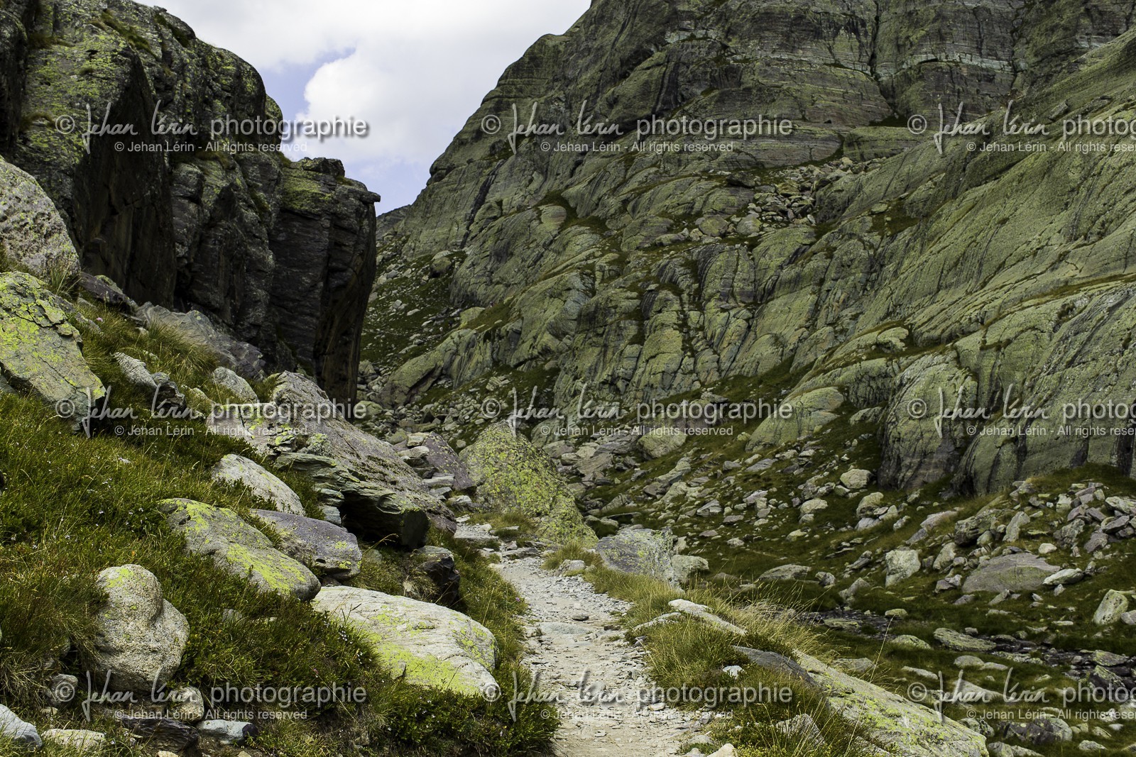 la-vallee-des-merveilles_08-08-2015-9205.jpg