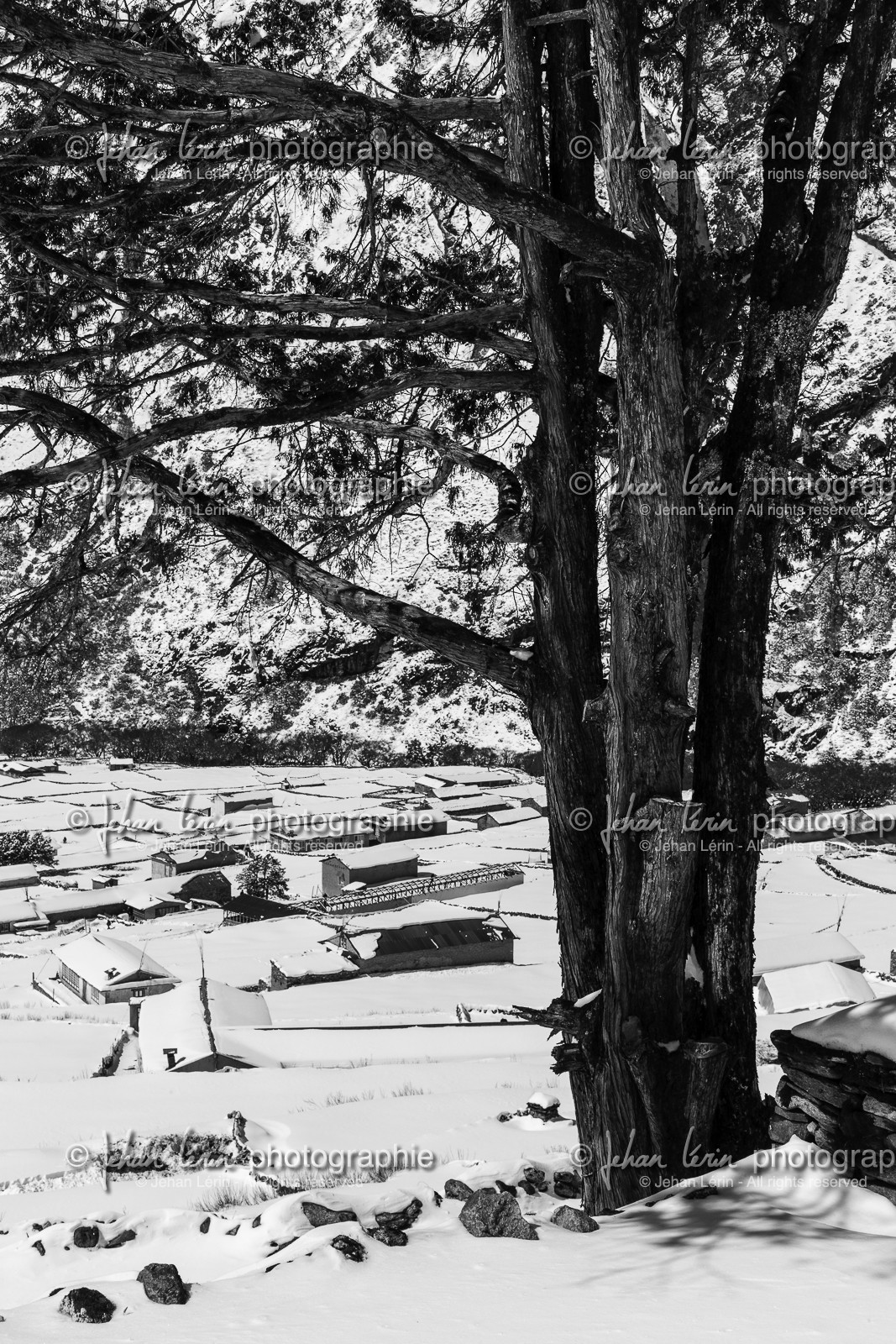 nepal_rolwaling-and-khumbu-area_phortse_17-02-2013-36876.jpg