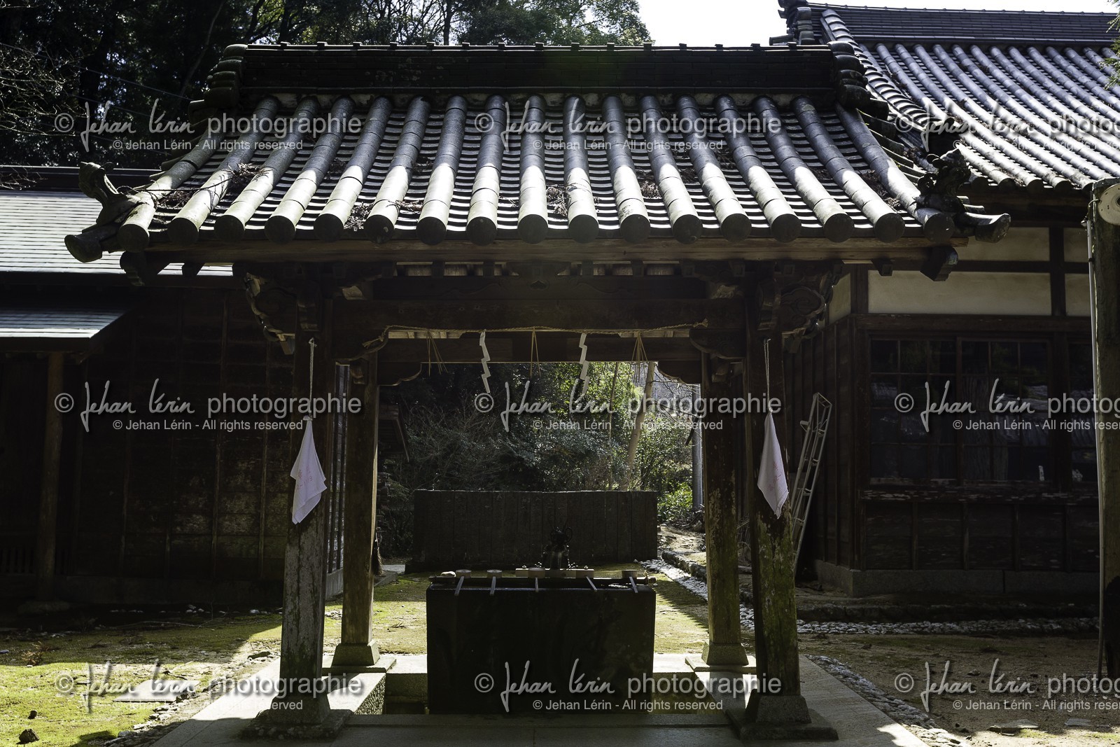dainichiji_temple-13_shikoku_japon_08-03_2014-0412.jpg