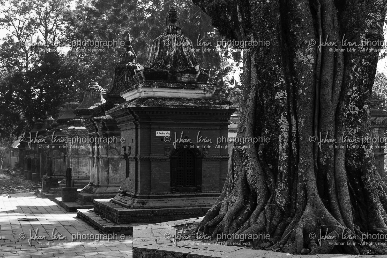 nepal_kathmandu_pashupatinath_10-02-2013-36345.jpg