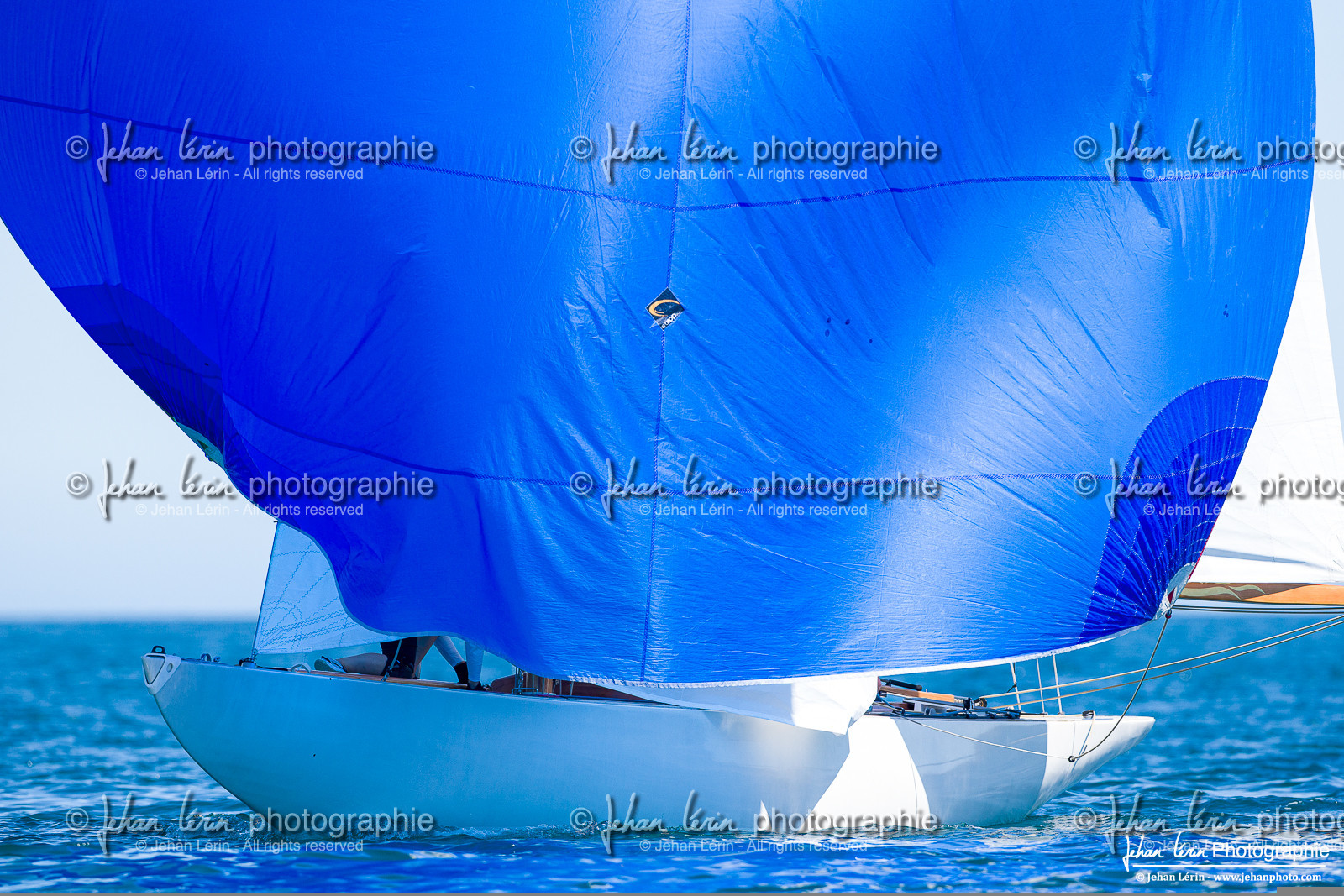 Les Dames de St Tropez 2025 Les Dames de St Tropez 2025