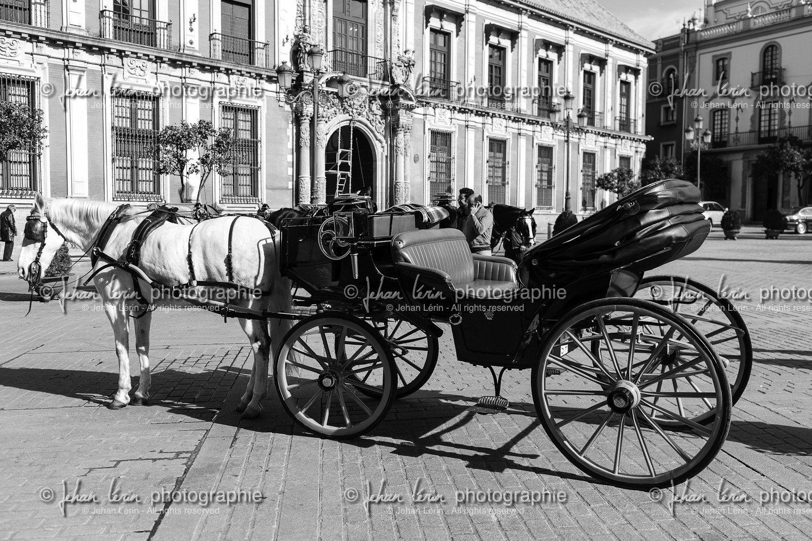 sevilla_19-01-2010-8200.jpg