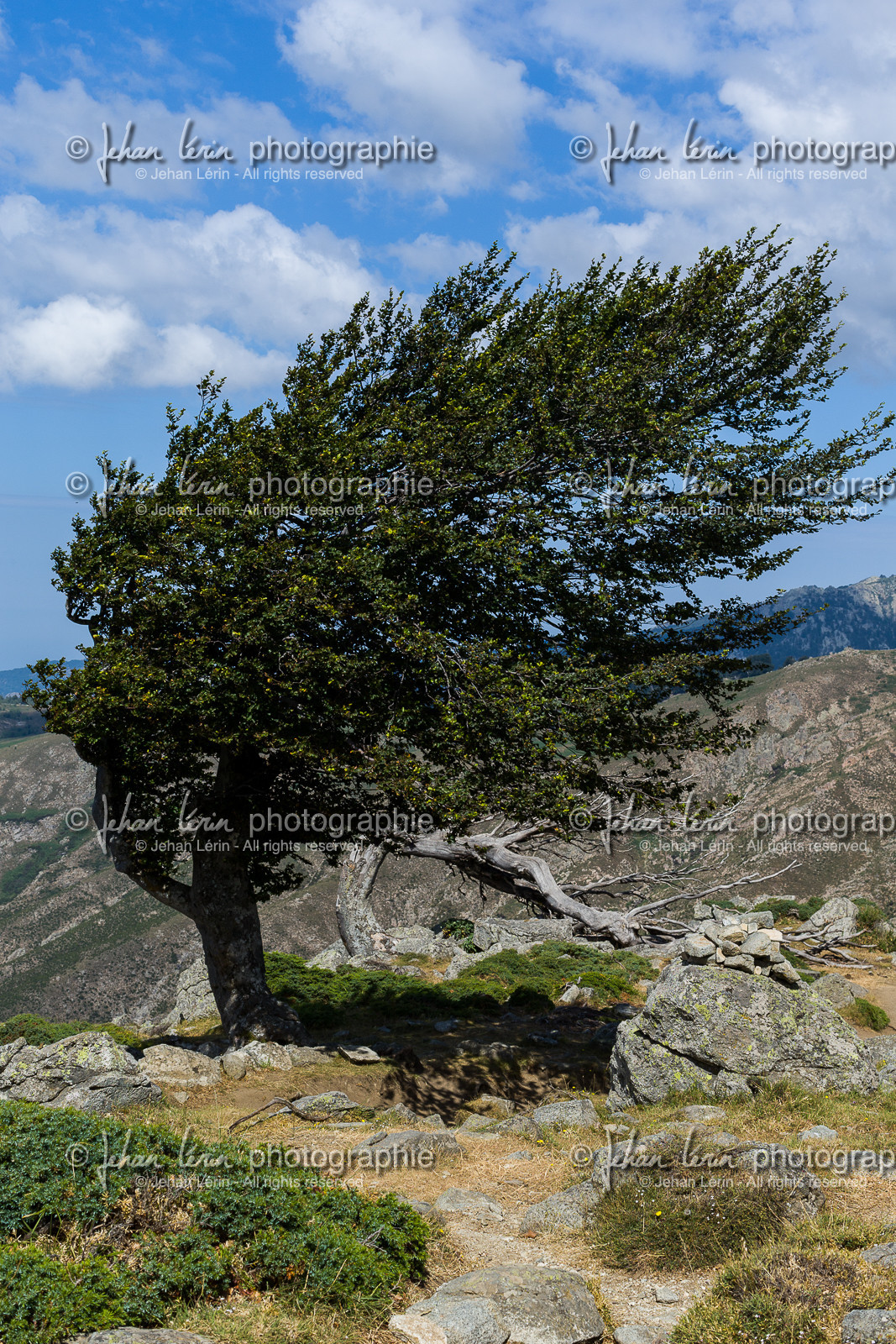 gr20_corse_jl_1dx_25-07-2016-0962.jpg