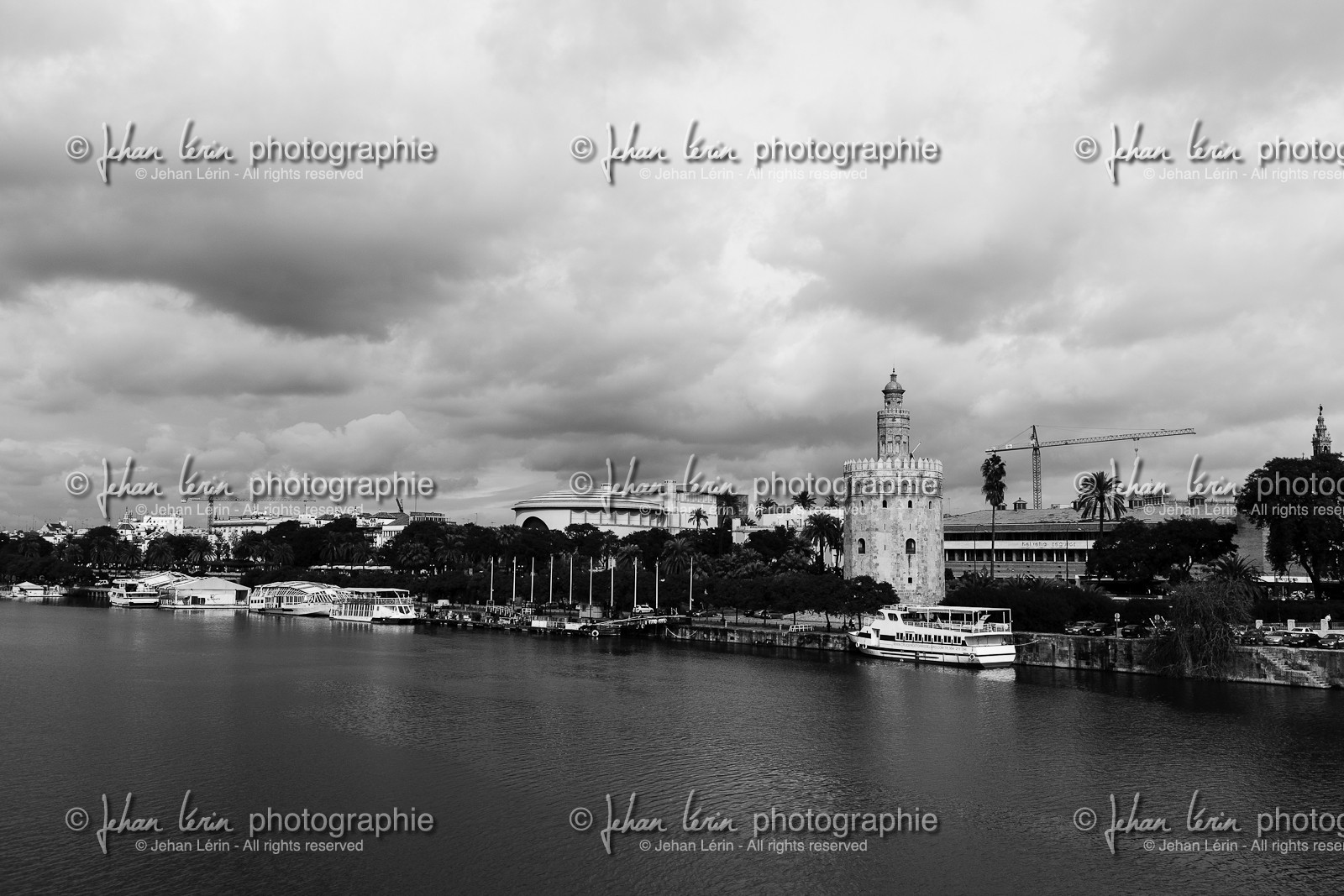 sevilla_19-01-2010-8153.jpg