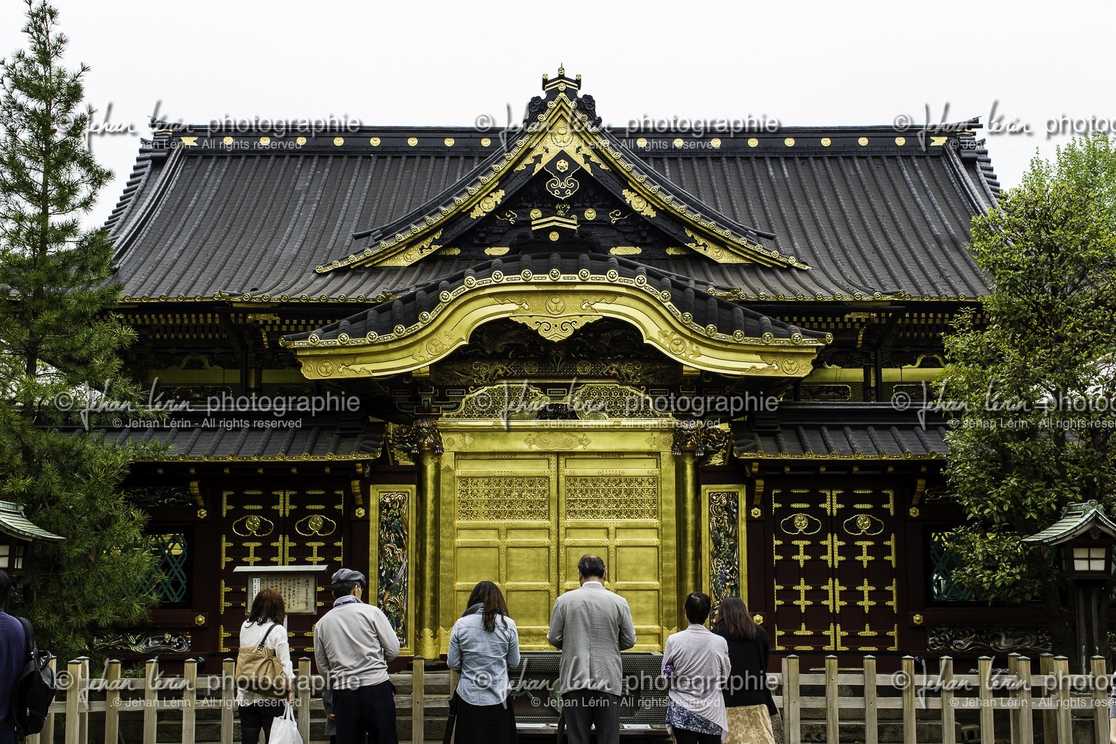 ueno_tokyo_japon_jl_1dx_05-05-2014-6263.jpg ueno_tokyo_japon_jl_1dx_05-05-2014-6263.jpg