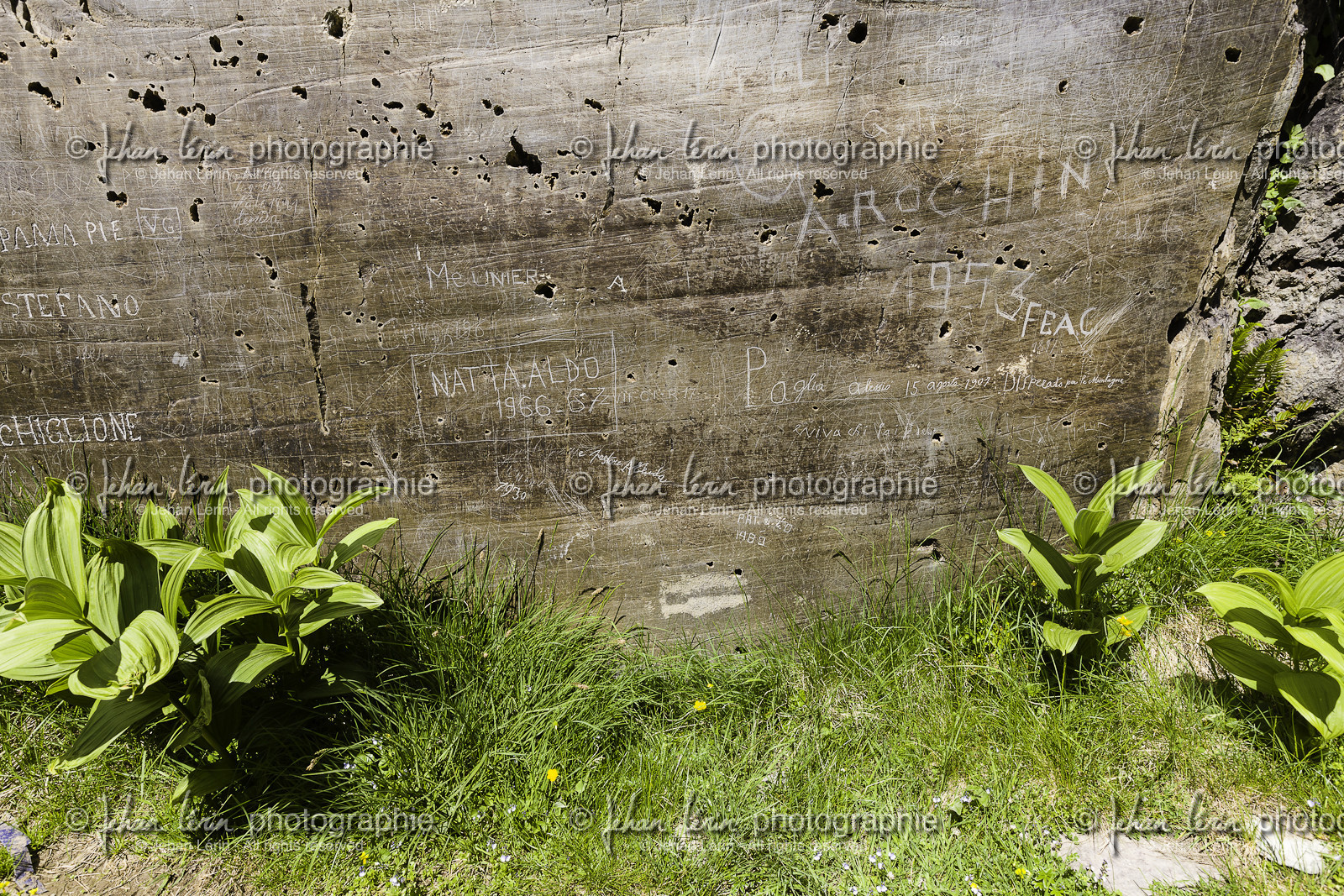 mercantour_france_vallee-des-merveilles_21-06-2012-5823.jpg