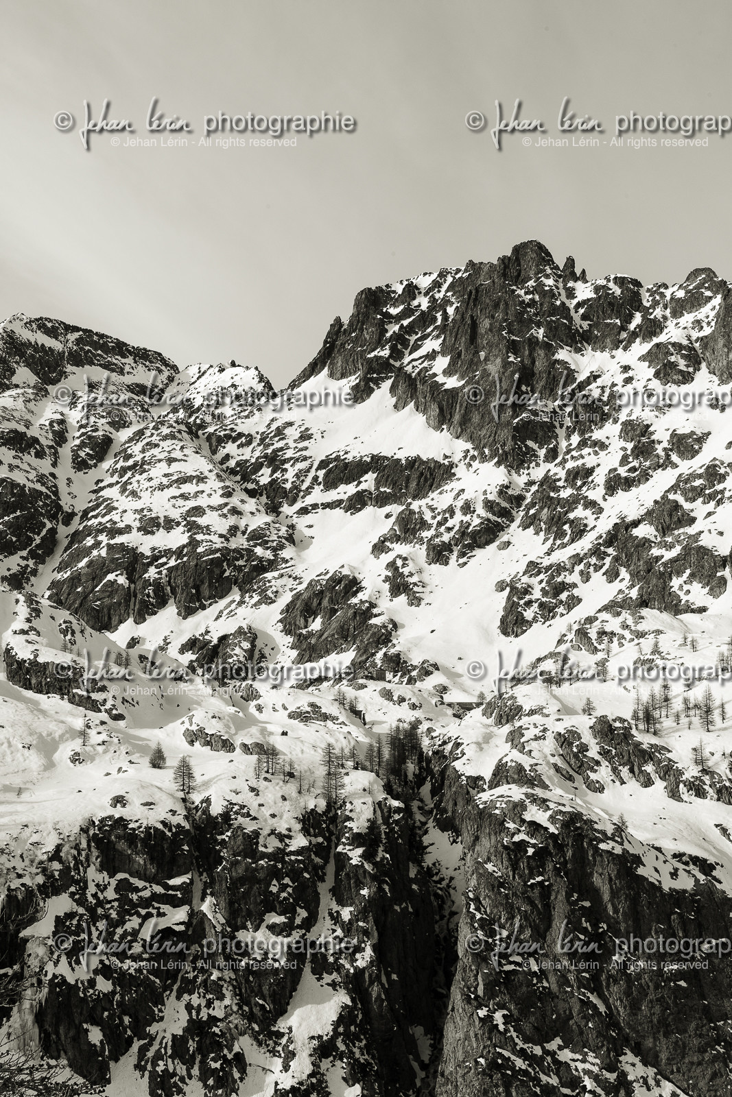casterino_france_12-01-2013-35811.jpg