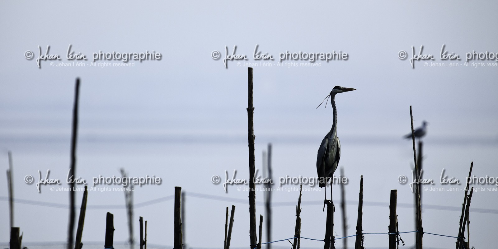 l-albufera_dec-2010-7889.jpg