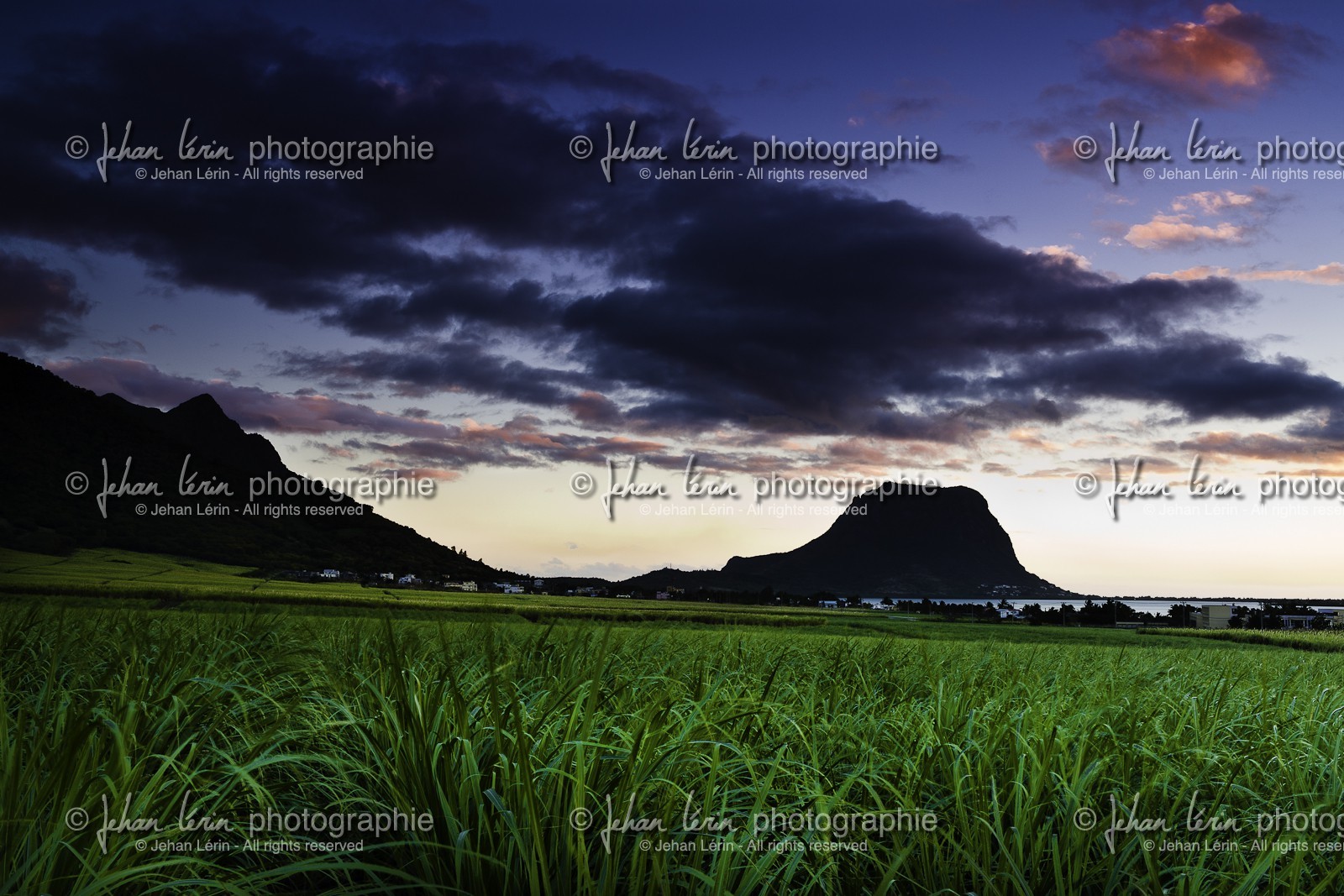 ile-maurice_aout-2009-4123.jpg