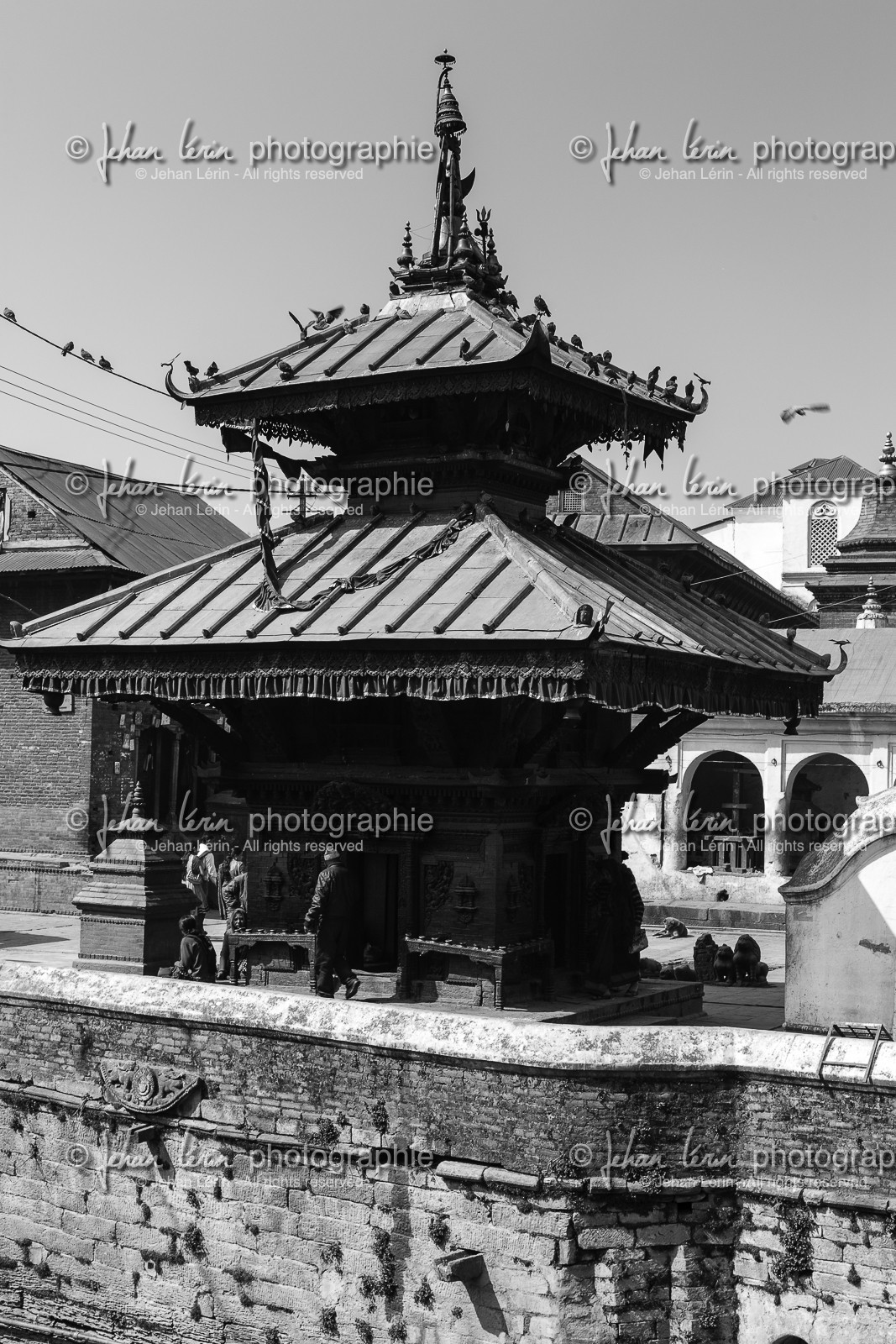 nepal_kathmandu_pashupatinath_10-02-2013-36291.jpg
