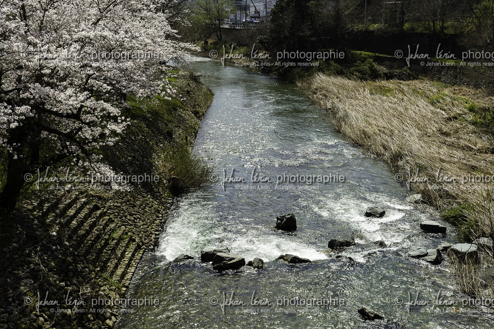 ozu_shikoku_japon_28-03_2014-3294.jpg