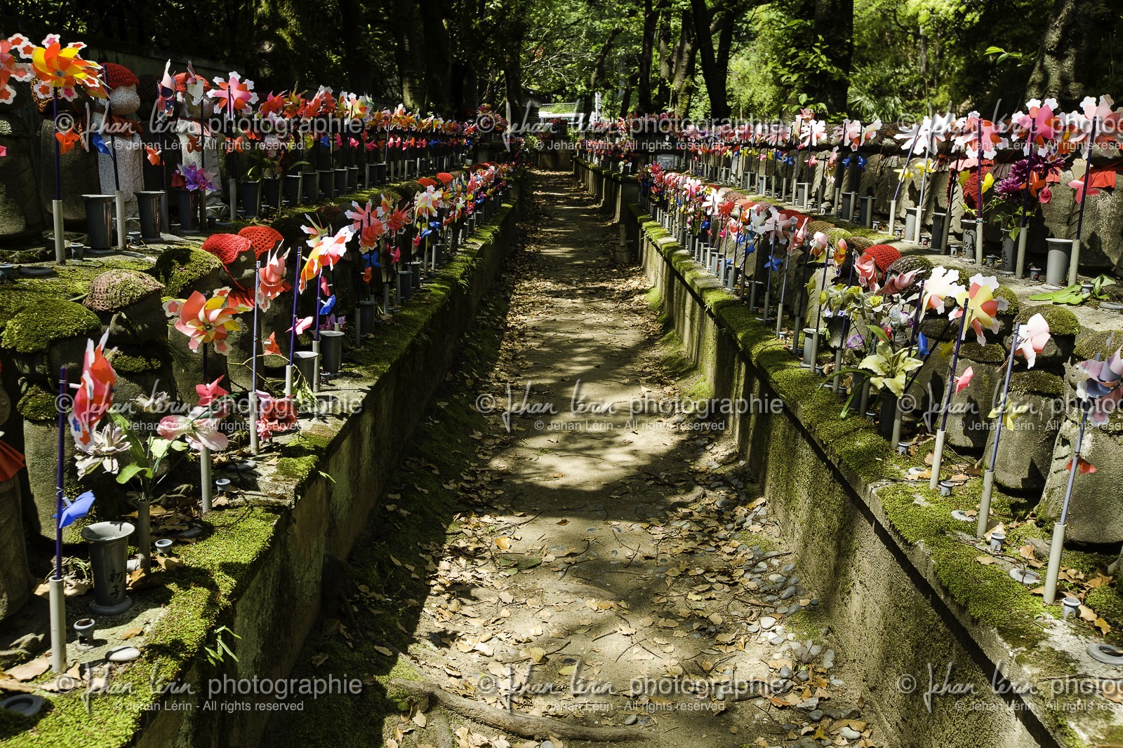 shiba-koen_tokyo_japon_jl_5d3_04-05-2014-1578.jpg