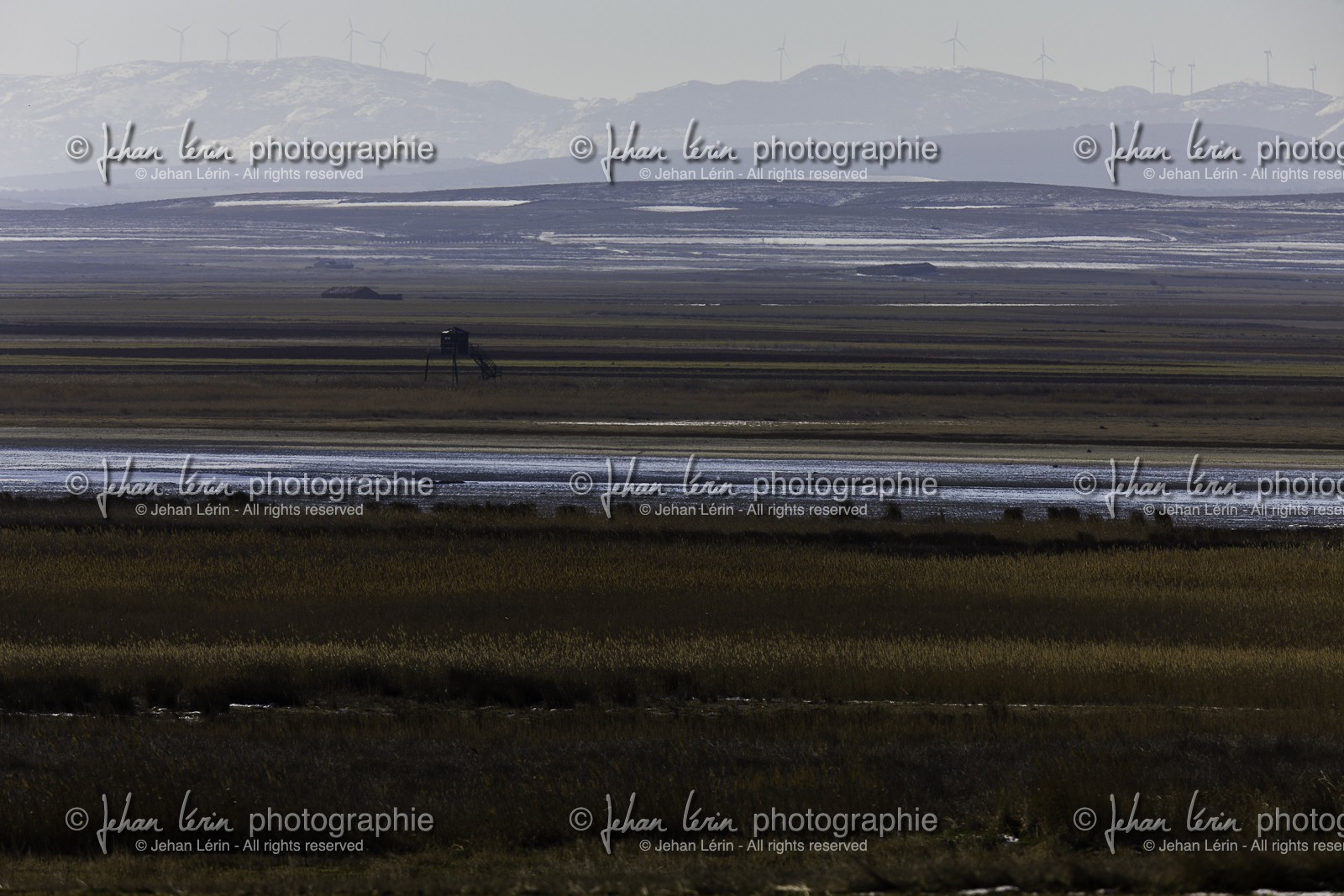 laguna-de-gallocanta_01-02-2011-8464.jpg