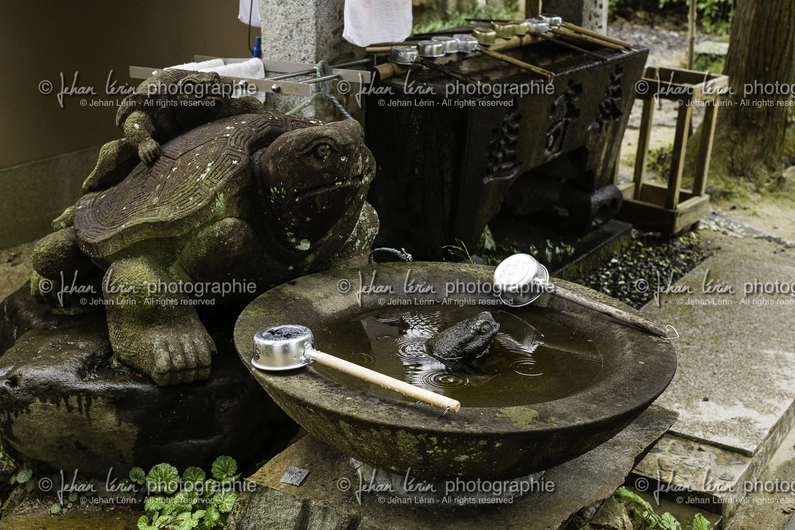 joruriji_temple-46_shikoku_japon_29-03_2014-3336.jpg