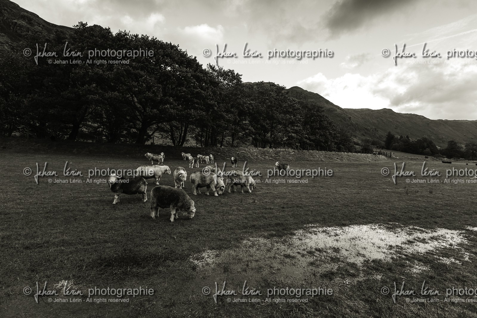 ambleside_lake-district-national-park_uk_oct-2012-2376-2.jpg