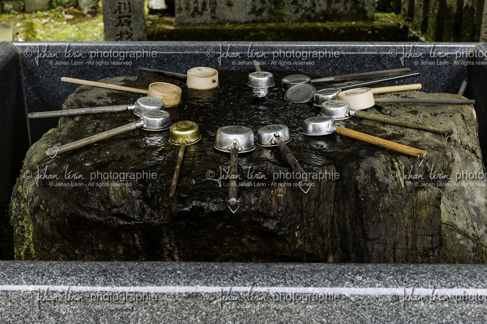 fujiidera_temple-11_shikoku_japon_06-03_2014-1943.jpg