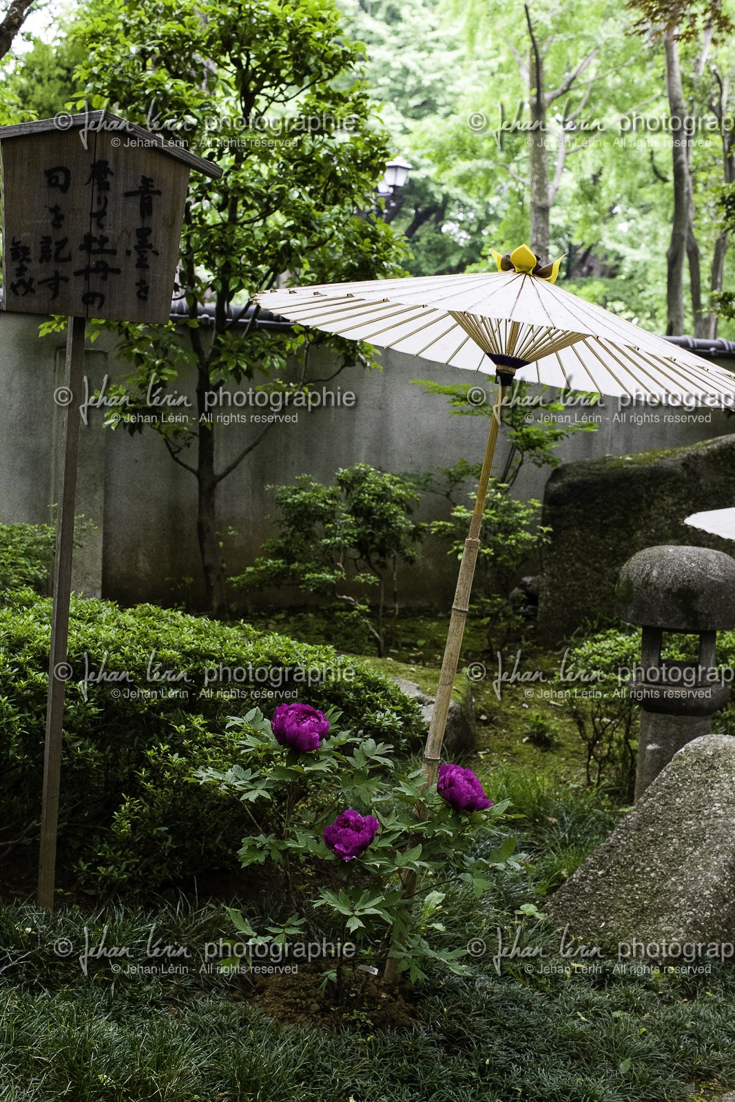 ueno_tokyo_japon_jl_1dx_05-05-2014-6249.jpg ueno_tokyo_japon_jl_1dx_05-05-2014-6249.jpg