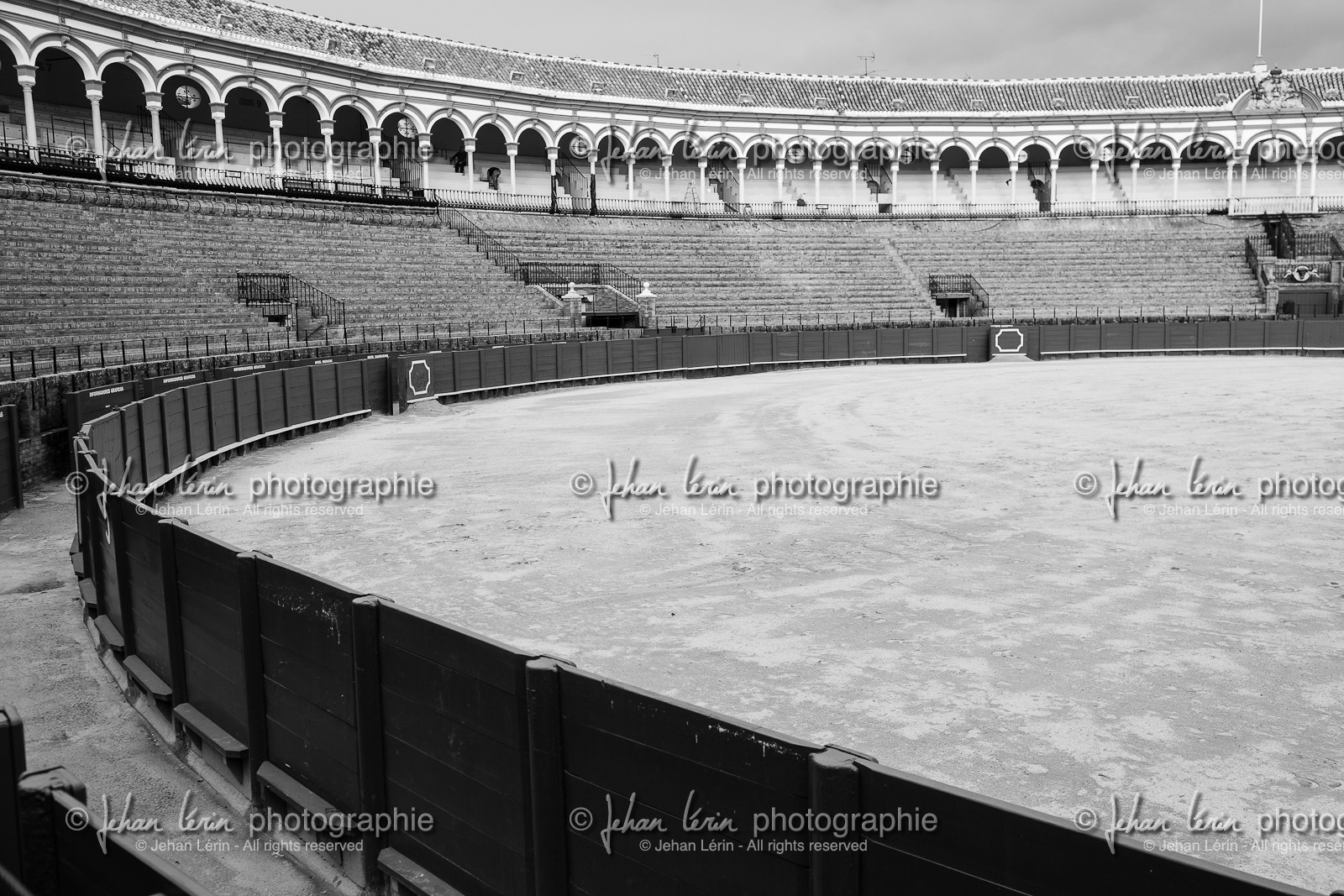 sevilla_19-01-2010-8177.jpg