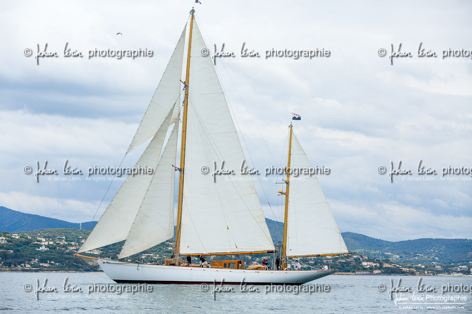 Les Dames de St Tropez Les Dames de St Tropez