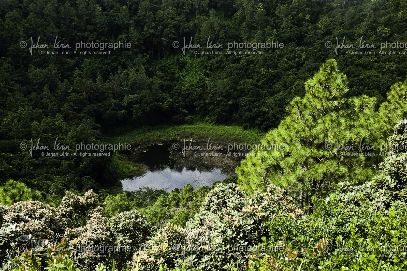 ile-maurice_aout-2009-4047.jpg