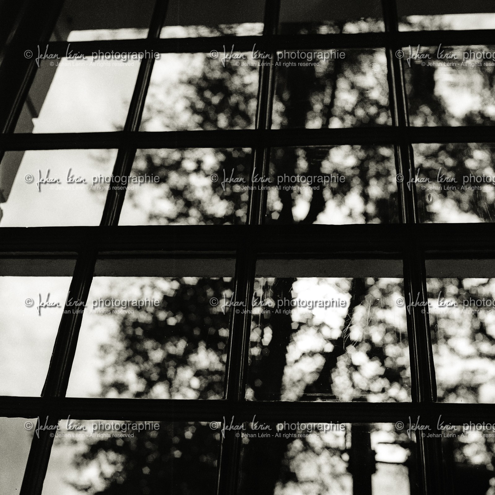 window_leamington-spa_uk-october-2012_1.jpg