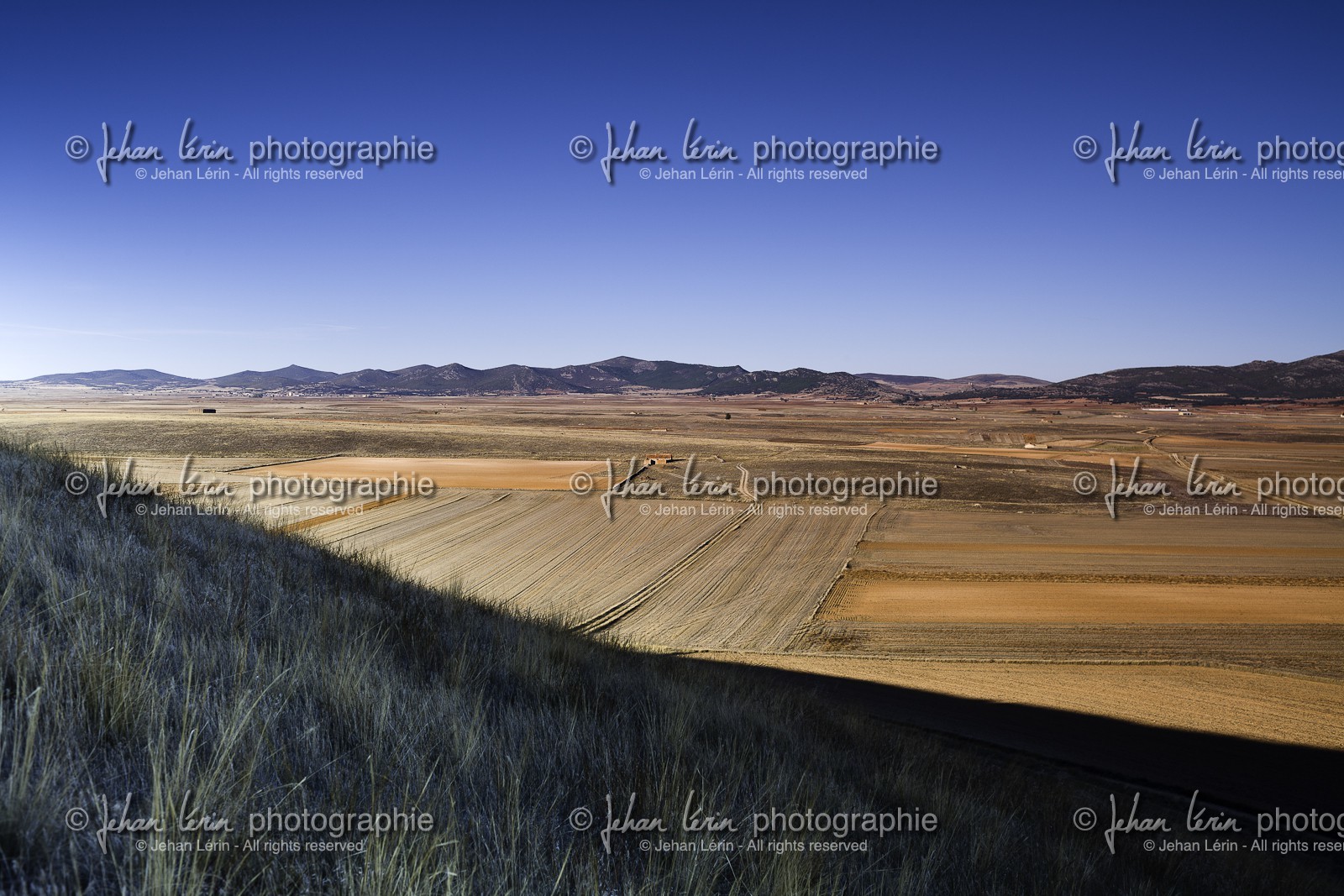 laguna-de-gallocanta_15-10-2009-5834.jpg